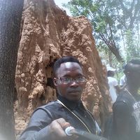 Fotos de Victorian BLINGA