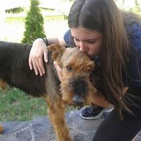 Fanni Hajducsi的照片