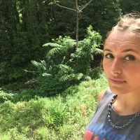 Fotos von Sarah Plasschaërt