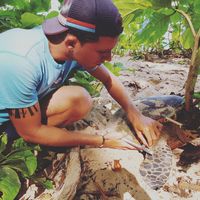 Alex Souyana的照片