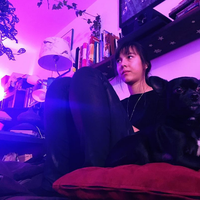 Nenah Bondi的照片