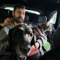 Felipe Gonzalez's Photo