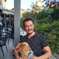 Mertcan Bortas的照片