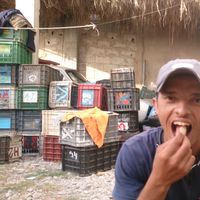 aberni youssef's Photo