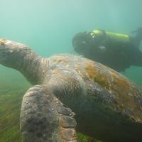 Jenna Carmody的照片