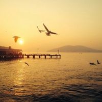 Ahmed Shammari's Photo