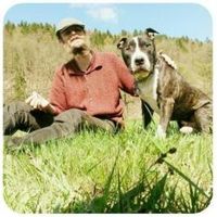 Jörg Tippmann's Photo