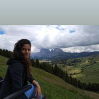 einav kringel的照片