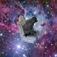 Brittany Shlessinger's Photo