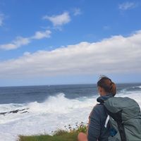 Nicole Noller's Photo