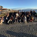 Sunday Social Afternoon (Carnival) 's picture