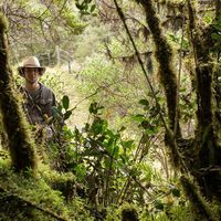 Alejandro Calderon's Photo