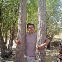 Emad Derakhshande's Photo