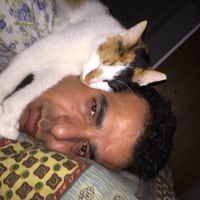 Fotos de Recep özalp