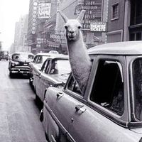 Wojciech Hlebowicz's Photo