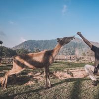 Raynaldi Ridwan's Photo