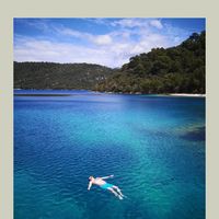 Rastko Petrovic's Photo