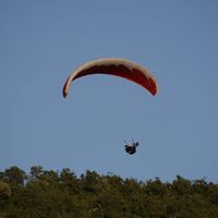 Gwendoline et Johan's Photo