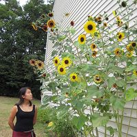 Hsing-Hui Hsu's Photo