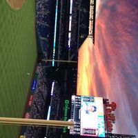 Steve Steven的照片