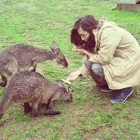 Francisco Wong's Photo