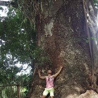 Alberto Cardenas的照片