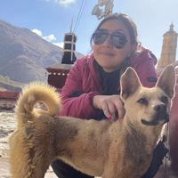 Photos de Danie Takeshitum