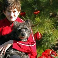 Michelle Ogea's Photo