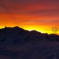 Georg Schwering's Photo