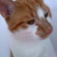 Miriam Muller's Photo