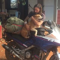 Fotos de Joe Statton