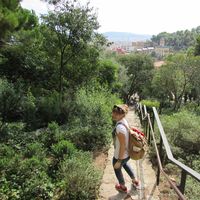 Mareike Hutt的照片