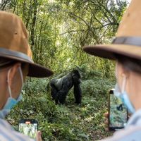 Wildlife_guy 🌍的照片