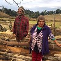 Raimundo Labbe's Photo