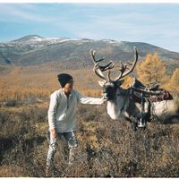 Mạnh Huỳnh's Photo