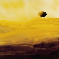 Gianmaria Gonzini's Photo