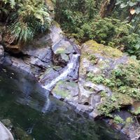 Jonathan TORRENT的照片