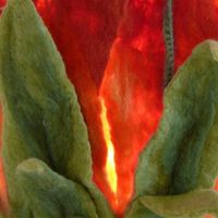 Gerta Kooijker's Photo