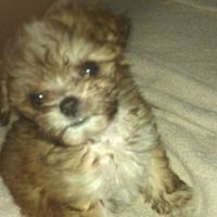 Christopher Castaneda's Photo