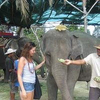 Marie Bourguignon的照片