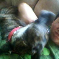 Everett Scout的照片