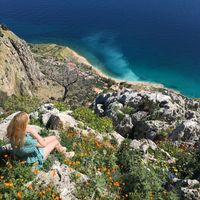 Daria  Ovchinnikova的照片