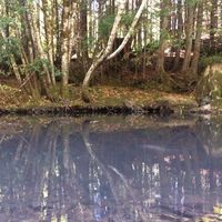 Leonardo Monterola's Photo