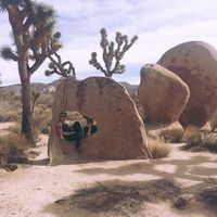 Mally Jones的照片