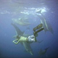 Hugo Salvador's Photo