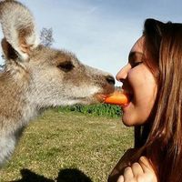 Pauline Claude的照片