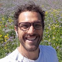 Artur Monteiro's Photo