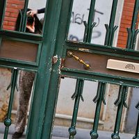 Le foto di Marlene Schweighofer