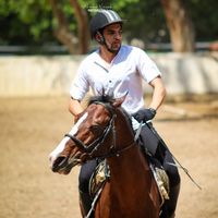 Mohammad Maatook的照片