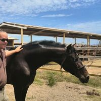 Фотографии пользователя ABDIEL ALMANZA